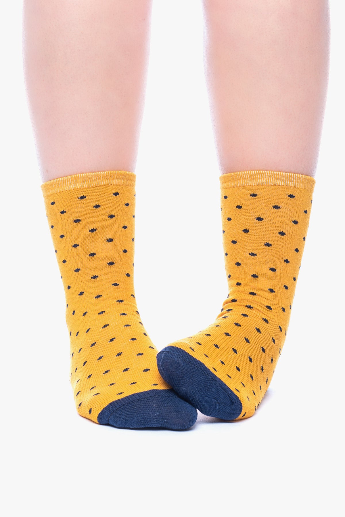 JANIS 3 dogs socks A