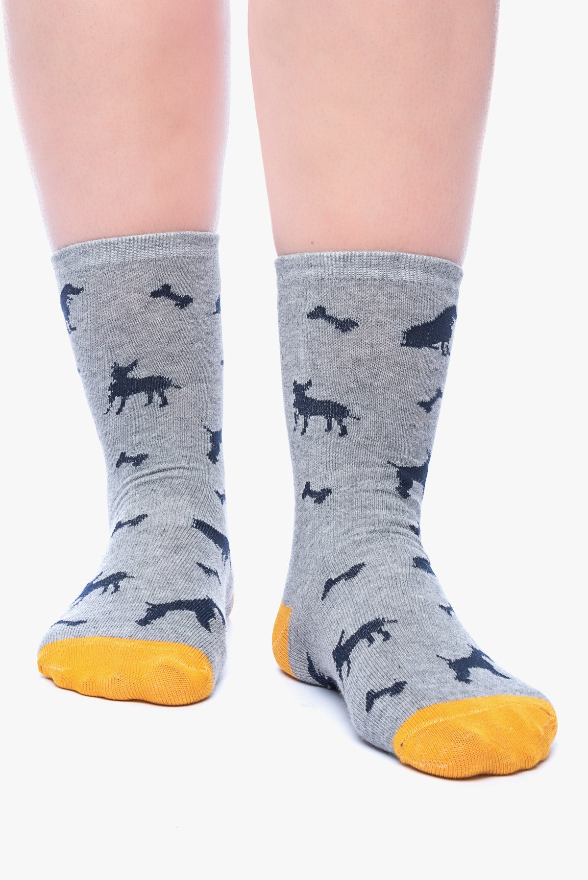 JANIS 3 dogs socks A