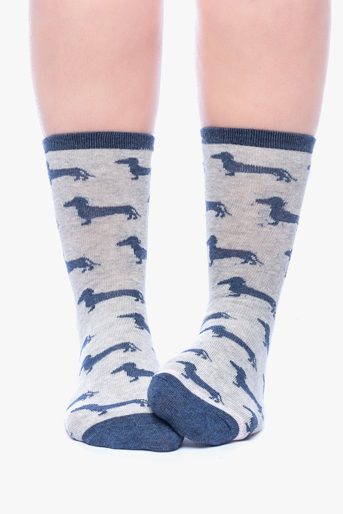 JANIS 3 dogs socks C