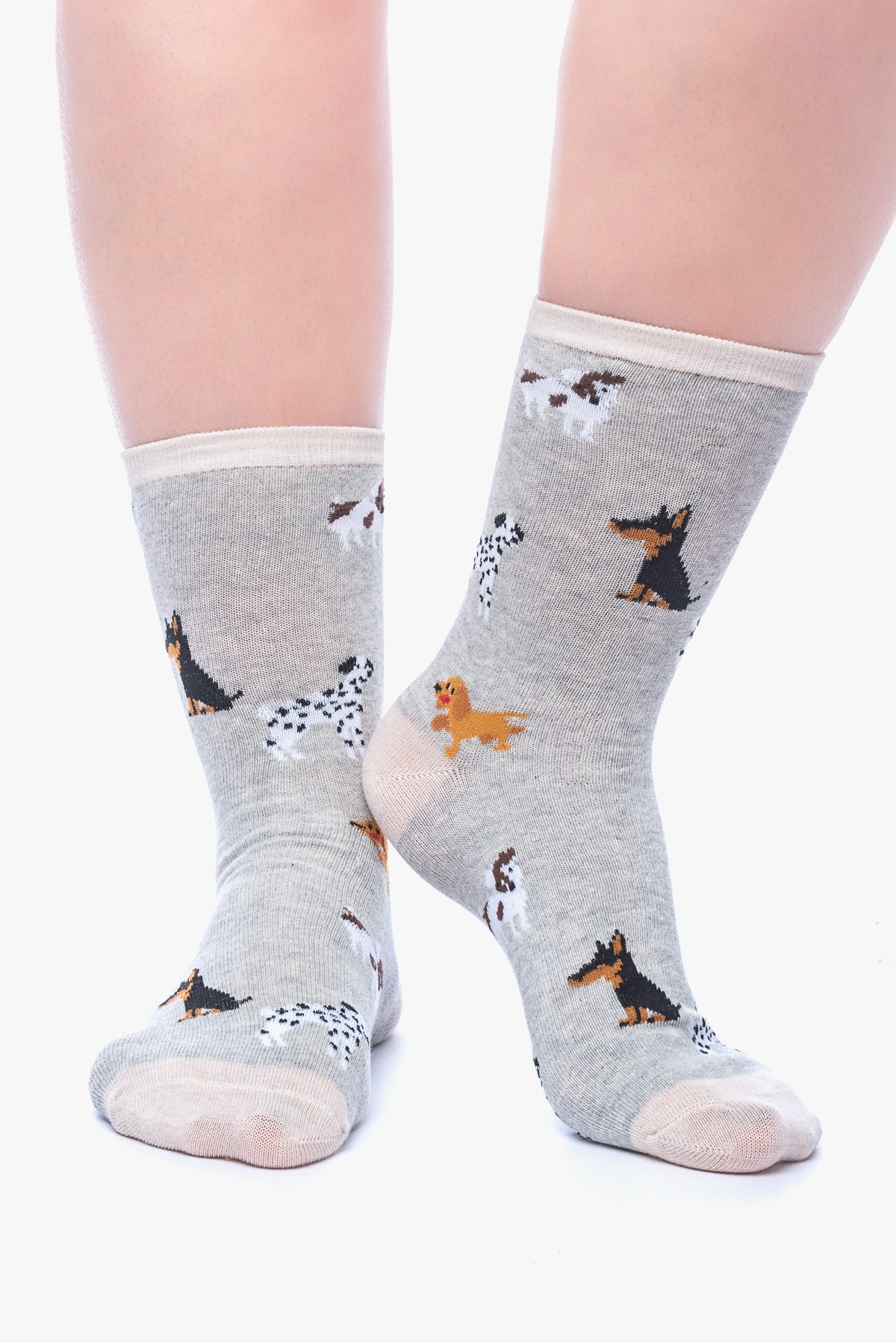 JANIS 3 dogs socks C