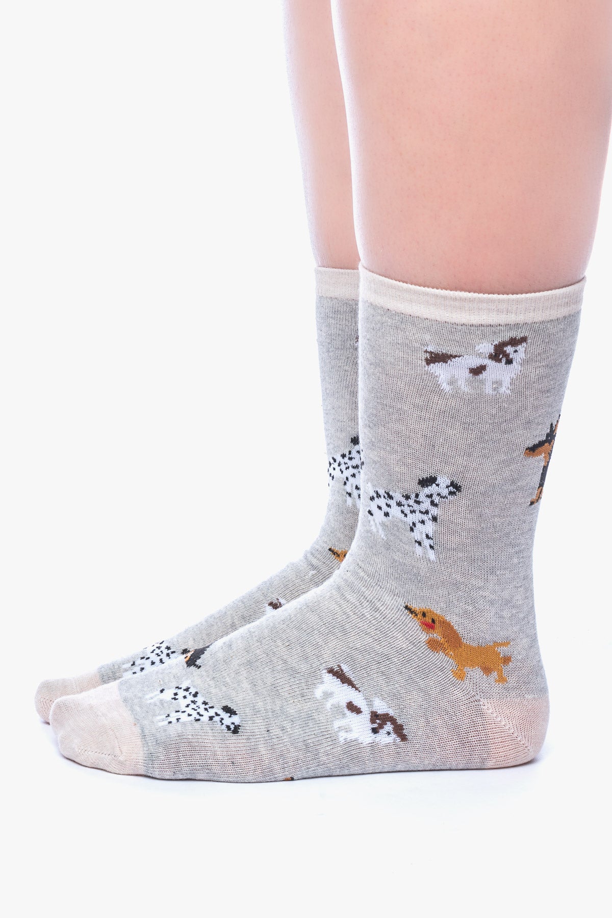 JANIS 3 dogs socks C